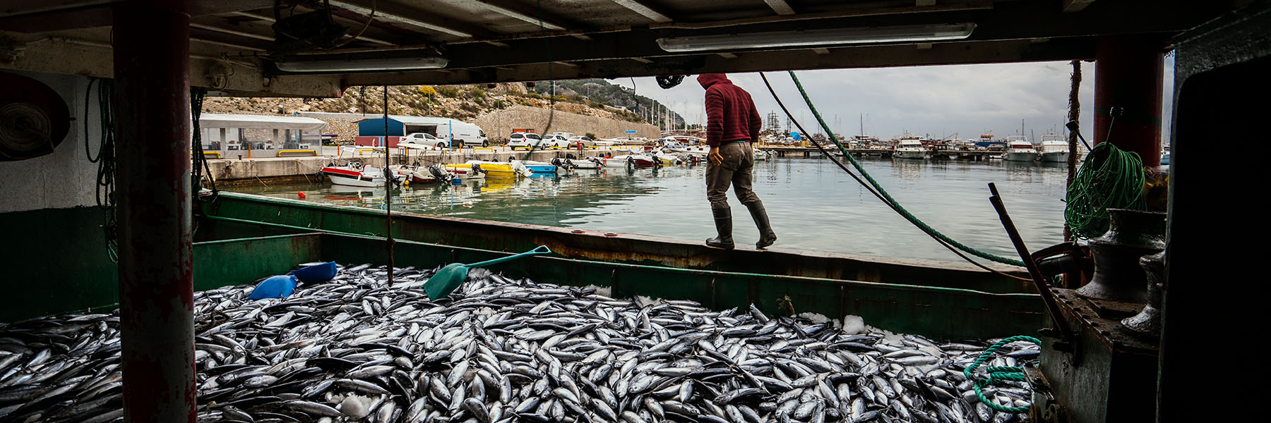 Labor Trafficking in the Fishing Industry